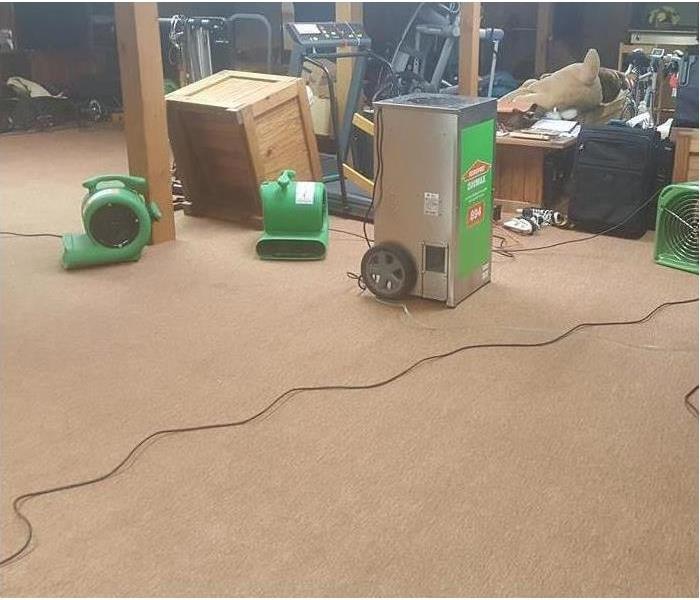 carpeted room with fans and dehumidifiers set-up