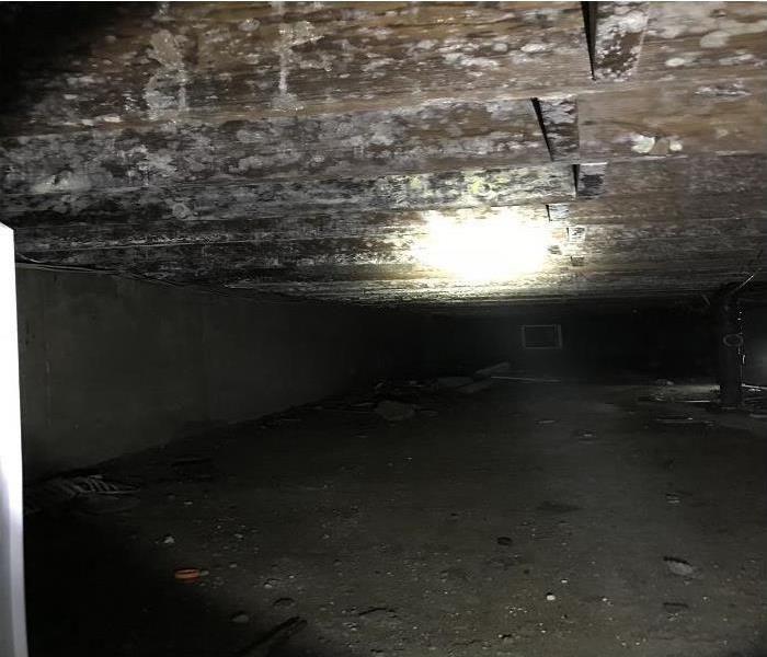 crawlspace with mold growing on wood framing