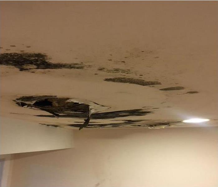 Drywall ceiling with mold growth on it