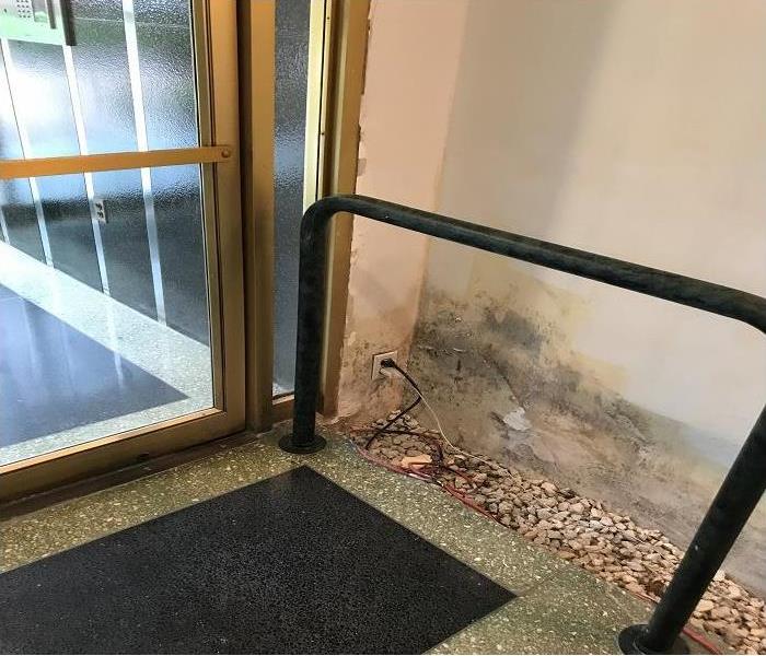 business entrance with mold growing on the wall