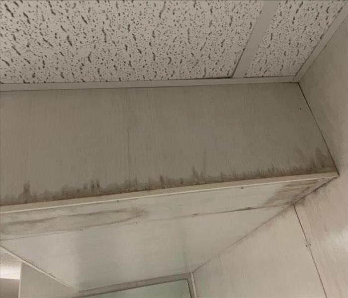 Water stains on walls and ceiling in a commercial space