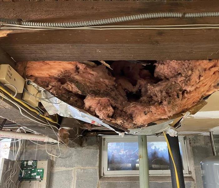 Wet, debris-covered basement insulation sagging out of a ceiling cavity