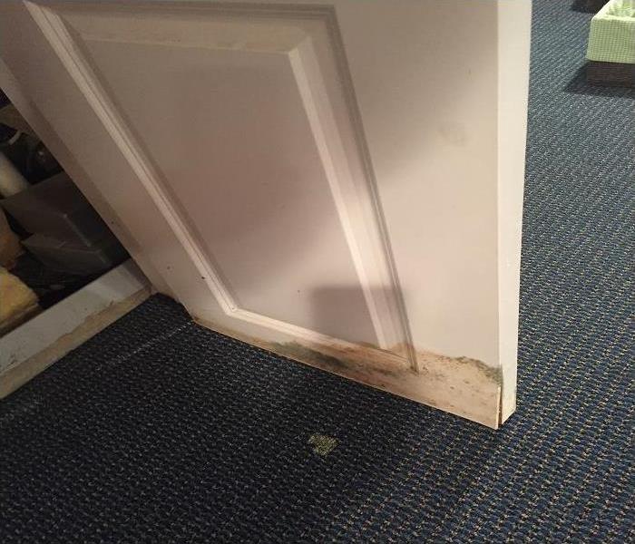 White door with moisture and mold growth on the bottom corner