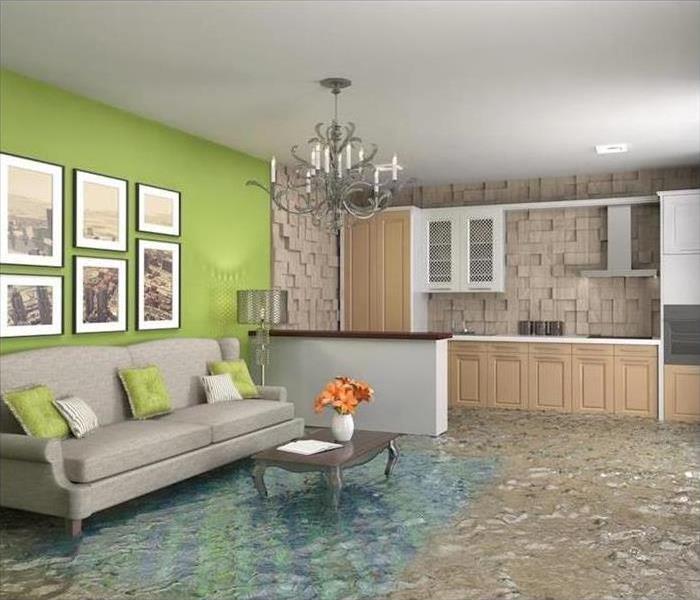 Living Room Under Water